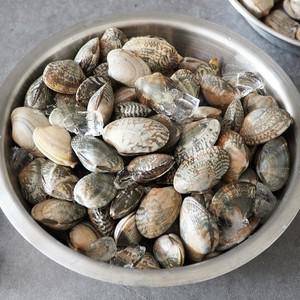 국내산 껍질 바지락 1kg 2kg 3kg FQ