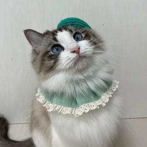 [BZJKRTT4_4B]크레 강아지 고양이 모자+케이프 민트