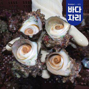 [바다자리]통영 산지직송 자연산 뿔소라 1kg 뿔소라회 소라 숙회