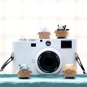 [KGPQW4JO_4B]고양이 카메라핫슈 DSLR 미러리스 호환 가능