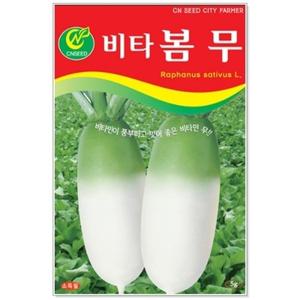 봄 5g 비타 무 씨앗