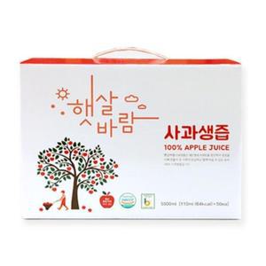 [JHQS758Y_52EE]햇살바람 사과생즙(사과즙) X 110ml 50봉