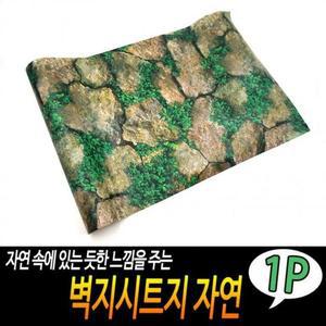 은플 벽지시심플트지 자연