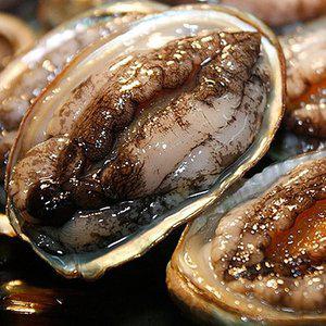 [미각기행] 완도 전복 9-10미 1kg