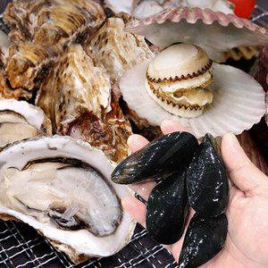 [착한어부] 산지직송 통영 홍가리비 1kg+석화 2kg+홍합 2kg
