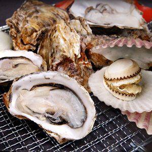 [착한어부] 산지직송 통영 홍가리비 2kg+석화 2kg