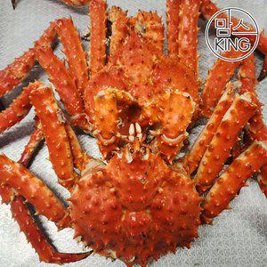 [맘스킹]속초러브마린 북해도 레드 자숙 킹크랩 4kg(3마리)
