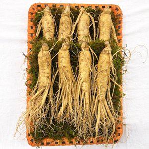 [기타]인삼 채반 선물세트 750g (7-9뿌리)
