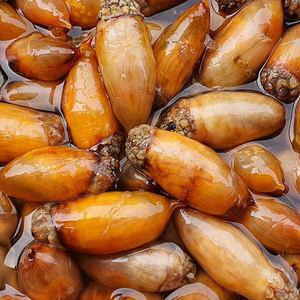 [자연맛남]당일 횟감가능 남해안 미더덕 500g