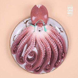 [보섭이네푸드] 국내산 손질 자숙 문어 1.7kg 내외