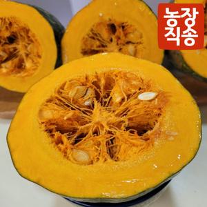 지구해 산지직송 특품 고당도 햇만차랑 만차랑단호박 5kg 1개