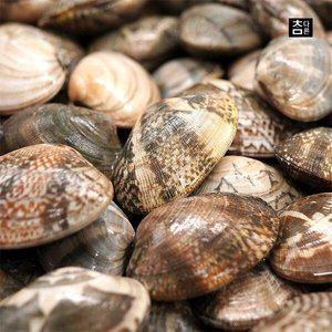 [신세계라이브쇼핑]참다른 당일손질 바지락 1kg x 2팩 (총 2kg)
