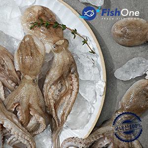 [피시원] 한마리씩 얼린 국산 주꾸미(냉동) 750g(7-11미)