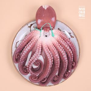 [롯데백화점]보섭이네푸드(식품) [보섭이네푸드] 국내산 손질 자숙 문어 1.7kg 내외
