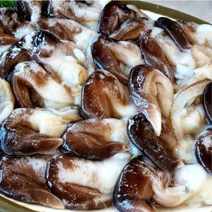 여수 새조개 택배 제철 시세 샤브샤브 손질 초코 새조개 새조개살 300g