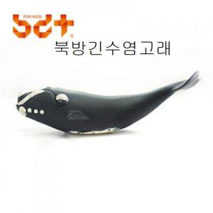 모형 북방긴수염고래 동물교구 피규어 수집품
