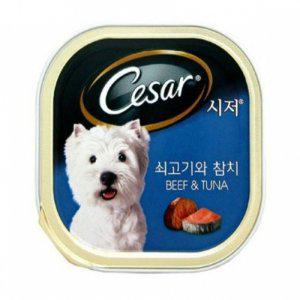 시저캔(쇠고기와 참치)1세이상(100gx24개)