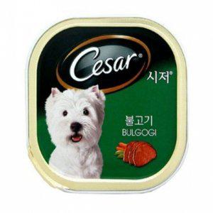시저캔(불고기)1세이상(100gx24개)