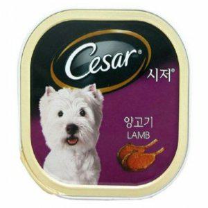 시저캔(양고기)1세이상((100gx24개)
