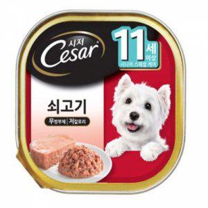 시저캔(11세이상 쇠고기)(100gx24개)