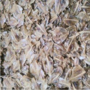 VIG 나비쥐포 1kg (반품불가)