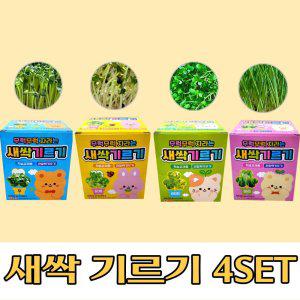 새싹기르기 심플 새싹키우기 무순+비타민+유채+보리 4