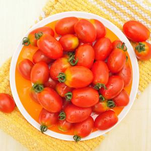 산지직송 더조은 대추방울토마토 2kg 1-3번과