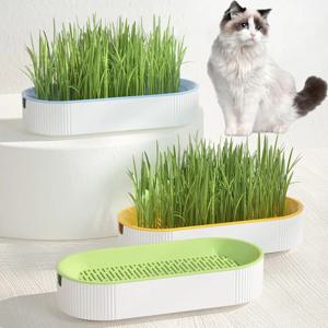 수경 고양이 잔디 상자 고양이는 Catnip을 취급합니다 수경 무토양 심기 고양이 잔디 냄비 쉬운 성장을위한 설정