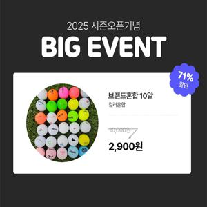 [초특가이벤트]유명브랜드MIX A+/A급 로스트볼 10개