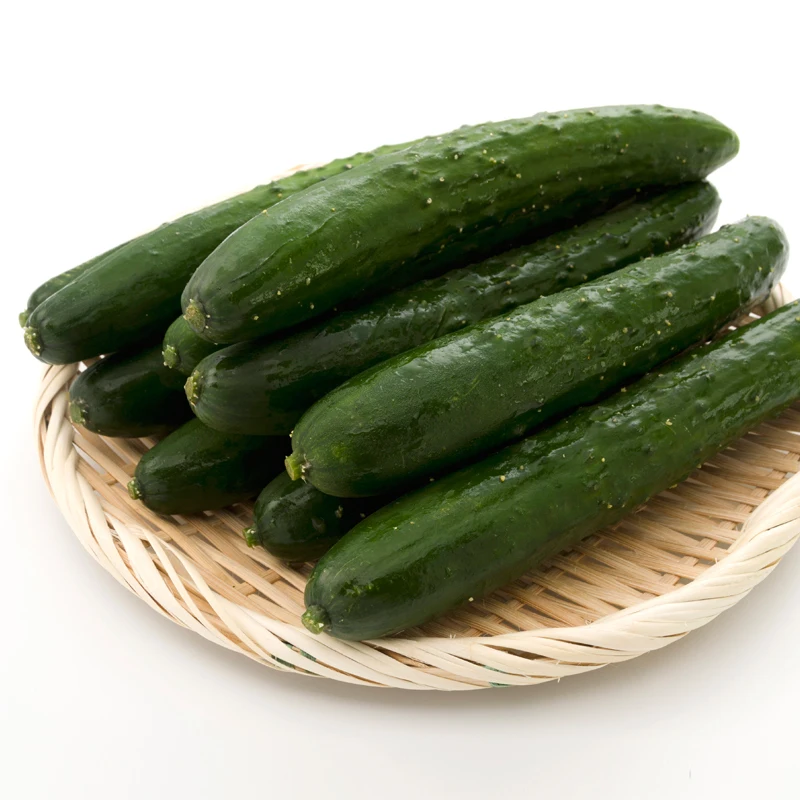 [오늘담은] 국내산 가시오이 1kg~5kg