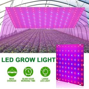 전체 스펙트럼 Led 실내 식물에 대 한 조명 성장 1000W 2000W 수경 램프 식물 전구 온실 꽃 씨앗 채식 성장 텐트 패널