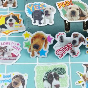 40pcs 애완 동물 강아지 휴일 파티 스티커 휴대 전화 컵 노트북 스케이트 보드 귀여운 애완 동물 스티커