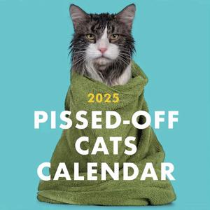 2025 화난 고양이 달력, 화난 고양이 2025 벽걸이 달력, 농담 선물용 12개월 플래너, 고양이 사랑을 위한 건방진 선물
