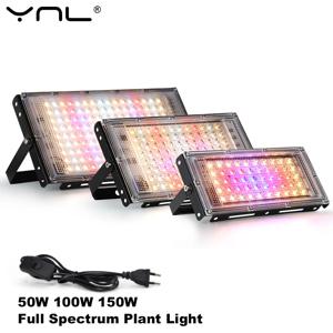 LED 식물 성장 조명, 온실 씨앗 꽃용 전체 스펙트럼, 수경 식물 성장 조명, 50W, 100W, 150W, 220V
