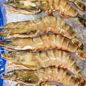 국내산 자연산대하 1kg