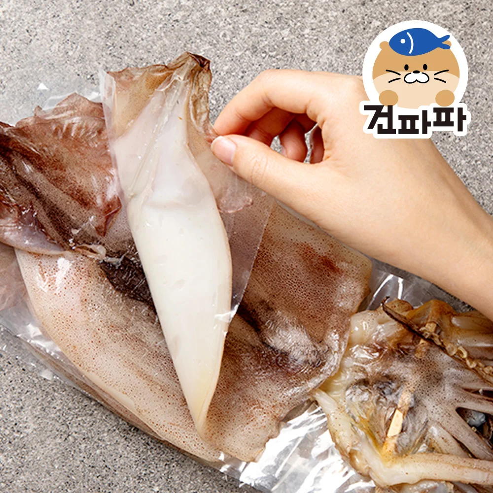 [품질보증] 구룡포건조 원양산 반건조오징어 피데기 왕왕특 5미 (약 810g)