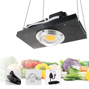 CXB3590 COB LED 성장 빛 전체 스펙트럼 100W 1212 LED 실내 텐트 온실 수경 식물 꽃에 대 한 램프 성장