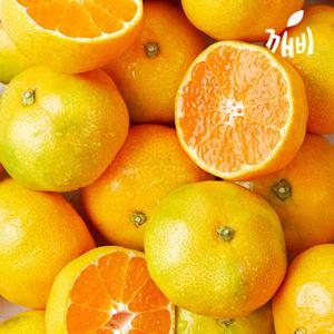 깨비농원 제주 하우스감귤 1.5kg 2.5kg 4.5kg