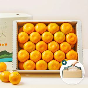 고당도 하우스감귤 프리미엄 선물세트 3kg 5kg + 가방포장