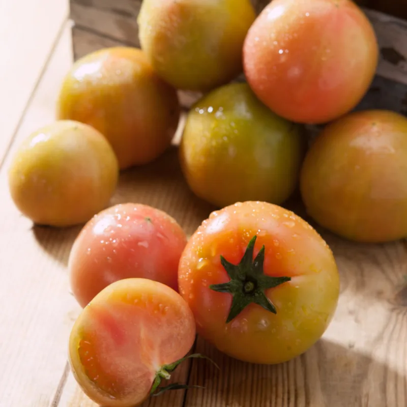 부산명물 대저토마토 2.5kg (크기별골라담기) 한정세일