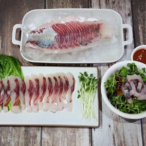 [푸디앤] 제철 보리숭어 회 필렛 300g /기름이 철철 제철 타이밍에만 맛 볼 수 있는 보리숭어의 참 맛 제대로 느껴보세요!