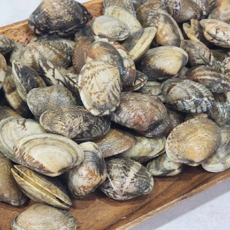 통통 왕 바지락1kg(60미 내외) 쫄깃한 살과 시원한 국물내기 좋은 바다내음 물씬 바지락