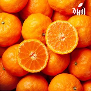 깨비농원 고당도 제주 카라향 1.2kg 로얄과(6-12수)