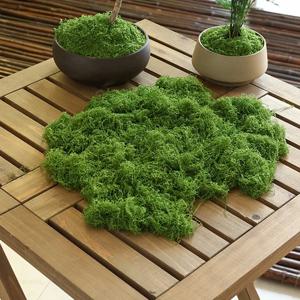 약 20g 인공 녹색 식물 폴리 에스터 이끼 잔디 홈 거실 정원 장식 미니 풍경 가짜 꽃 DIY 공예