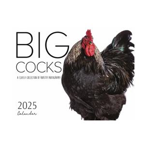 2025 빅콕스 달력, 활기찬 야생동물 사진, 12개월 벽걸이 달력, 사무실 및 가정 장식, 동물 애호가, 종이, E