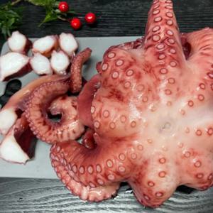 [푸디앤] 자숙 참문어 800g-1.2kg 제수용 요리용  / 완벽 손질, 완벽 자숙! 그냥 드세요.