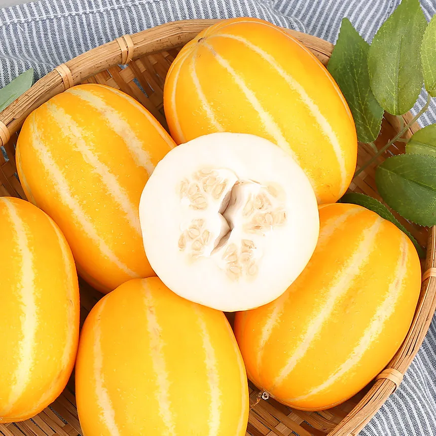 성주참외 2~5kg 꼬마과/소과