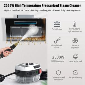 스팀 청소기 고온 살균 자동차 김이 나는 청소기 에어컨 주방 후드 홈 110V 미국 플러그/220V EU 플러그