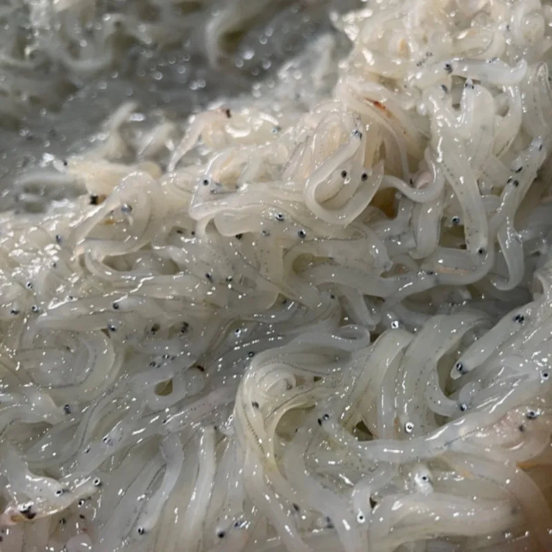 [푸디앤]  급냉 실치 300g / 생물실치 종료 ,급냉으로 보내드립니다