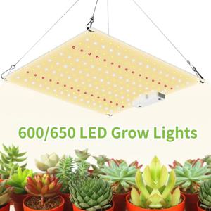 LED 성장 조명 풀 스펙트럼 식물 램프, 실내 온실 꽃 다육 식물 램프용 EU 플러그, LM281B 양자 보드, 60 W, 65W